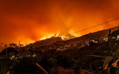 Δασικές πυρκαγιές: Ποιοι παράγοντες ευνοούν την εξάπλωσή τους.